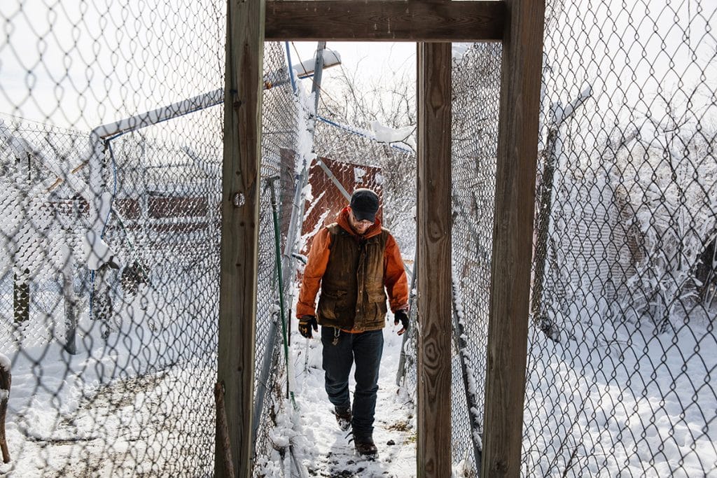 Wolf Hollow Gray Wolf Sanctuary in Ipswich, Massachusetts | Photos ...
