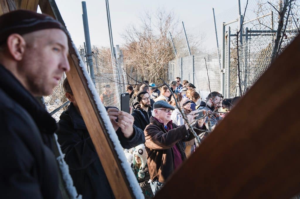 Wolf Hollow Gray Wolf Sanctuary in Ipswich, Massachusetts | Photos ...