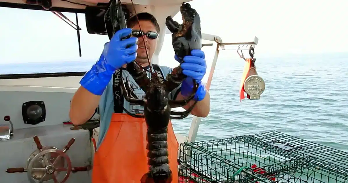 “Weekends with Yankee” Episode 408: Ocean Treasures