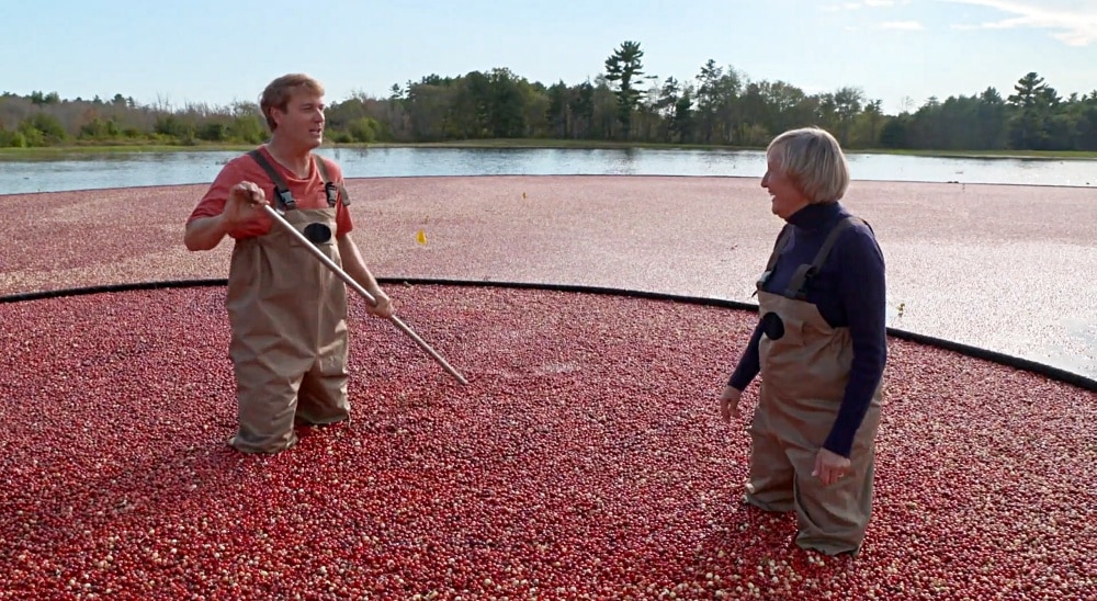 “Weekends with Yankee” Episode 508: An Edible Tour
